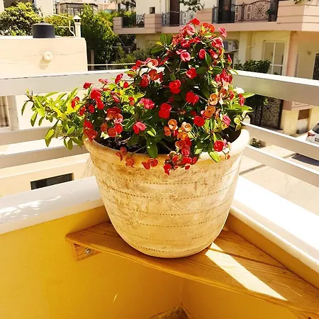 Ellis , Amperia , Crete Apartment Chania (Crete)