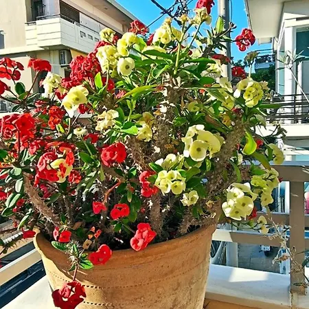 شقة Ellis , Amperia , Crete *